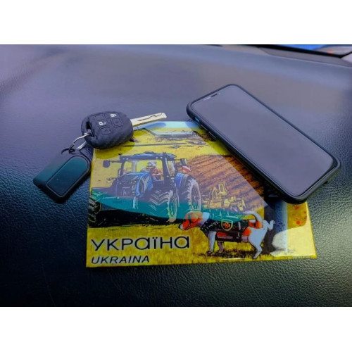 Килимок антиковзаючий силікон липучка "Пес Патрон" 20х15см 4 356